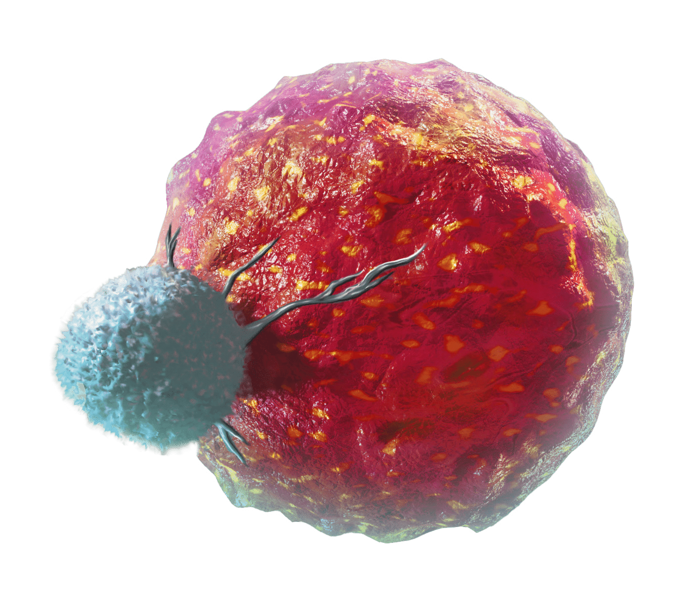 ICLE 2025 5th International Conference on Lymphocyte Engineering